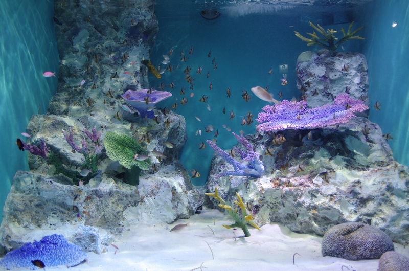 おたる水族館