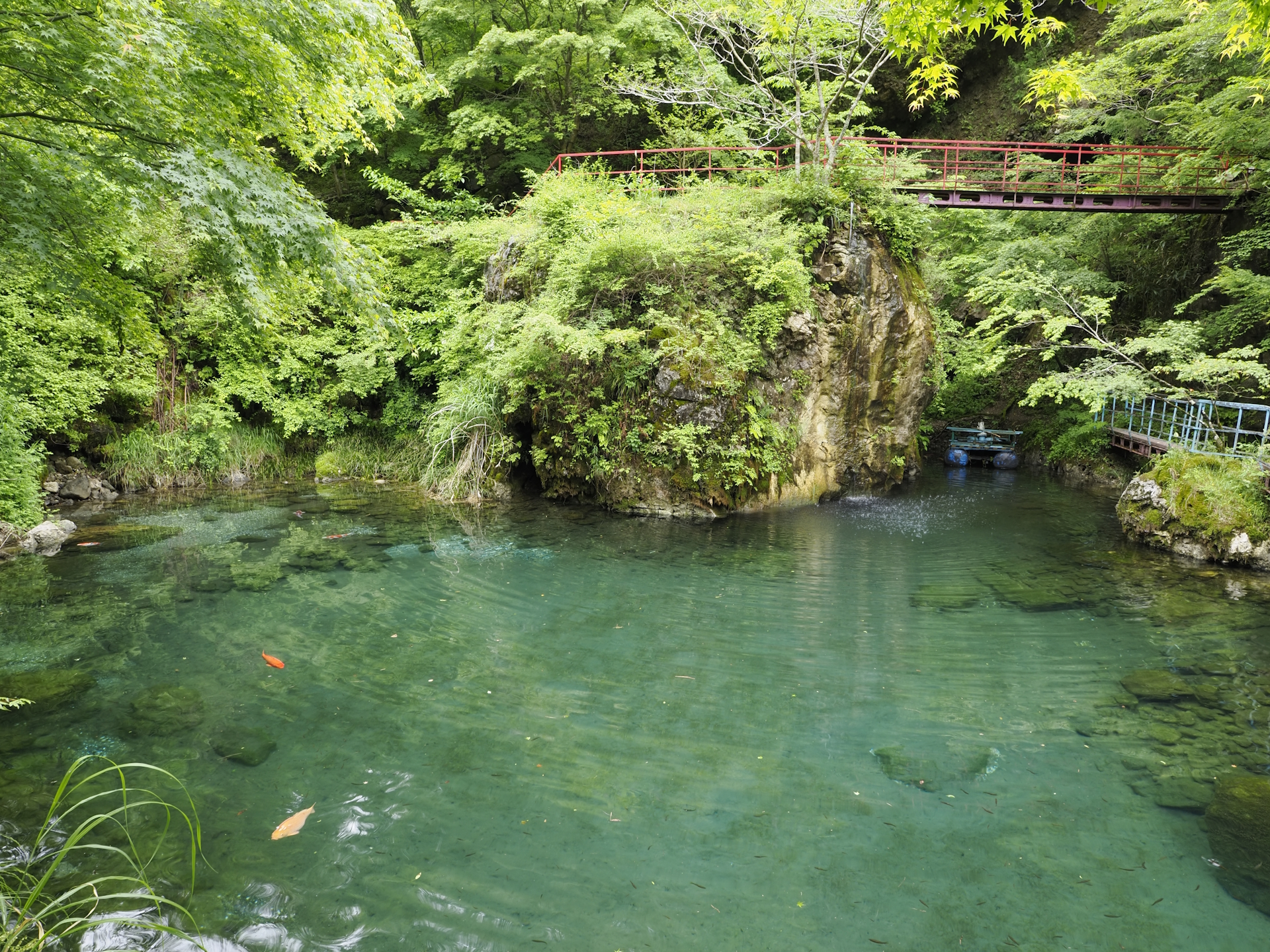 白龍湖
