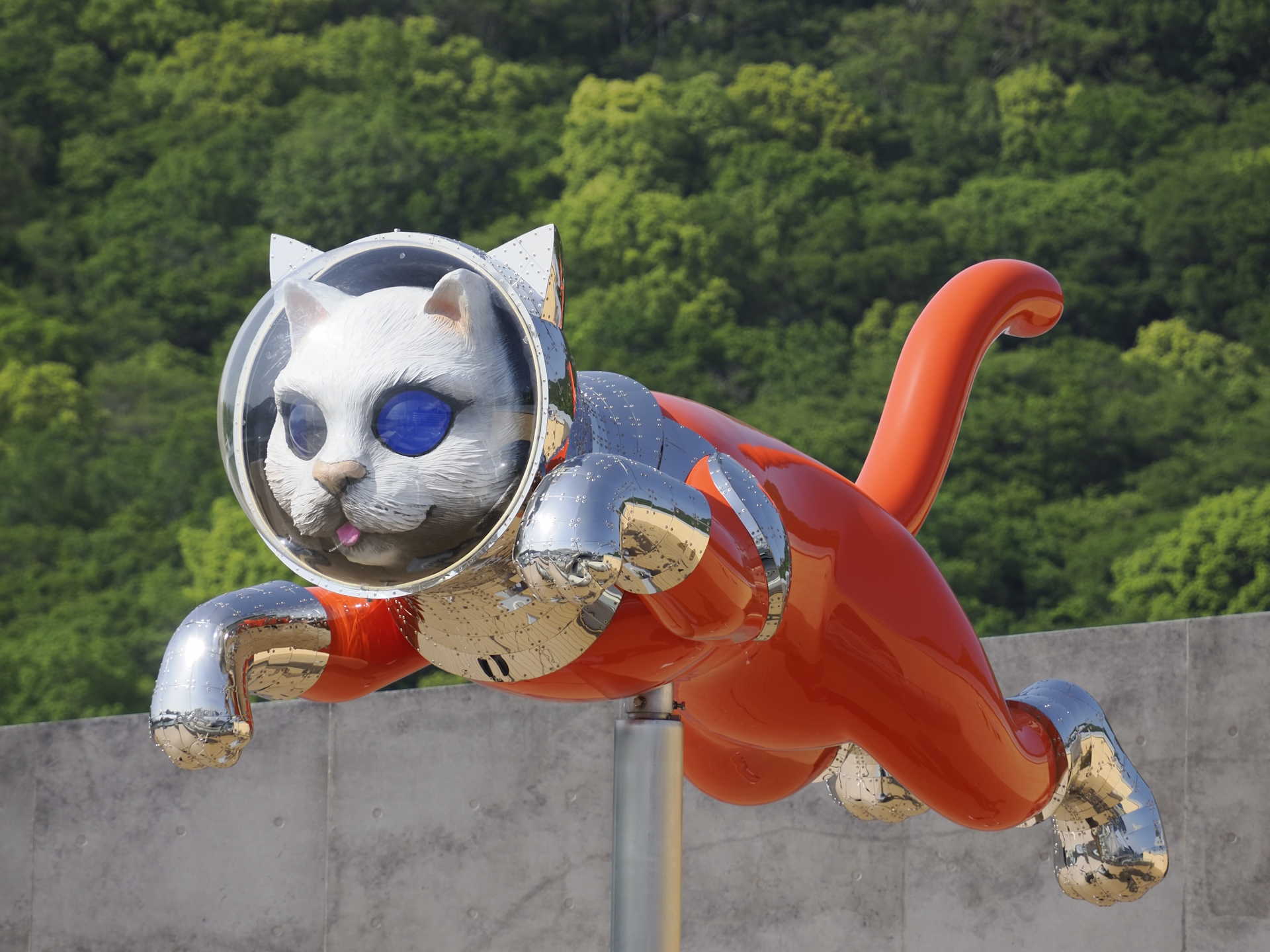 小豆島坂手港・SHIP'S CAT（Jumping）