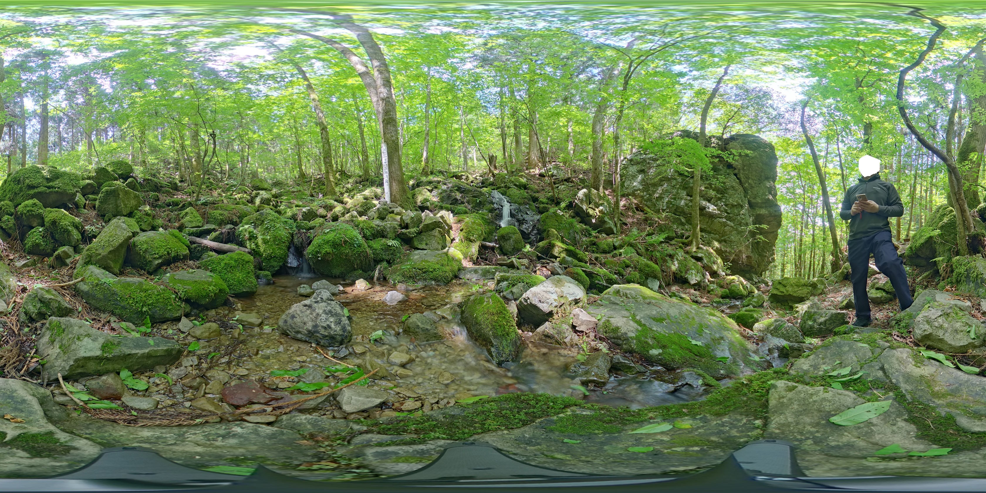 四万十川源流点 360度パノラマ#2