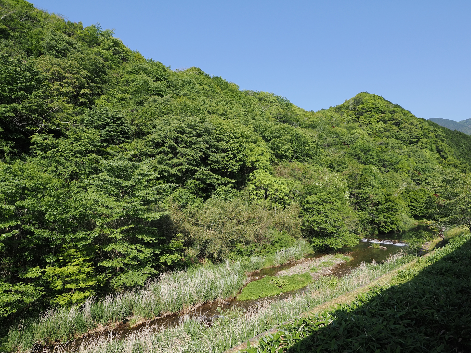 遊山四万十 せいらんの里から見える四万十川
