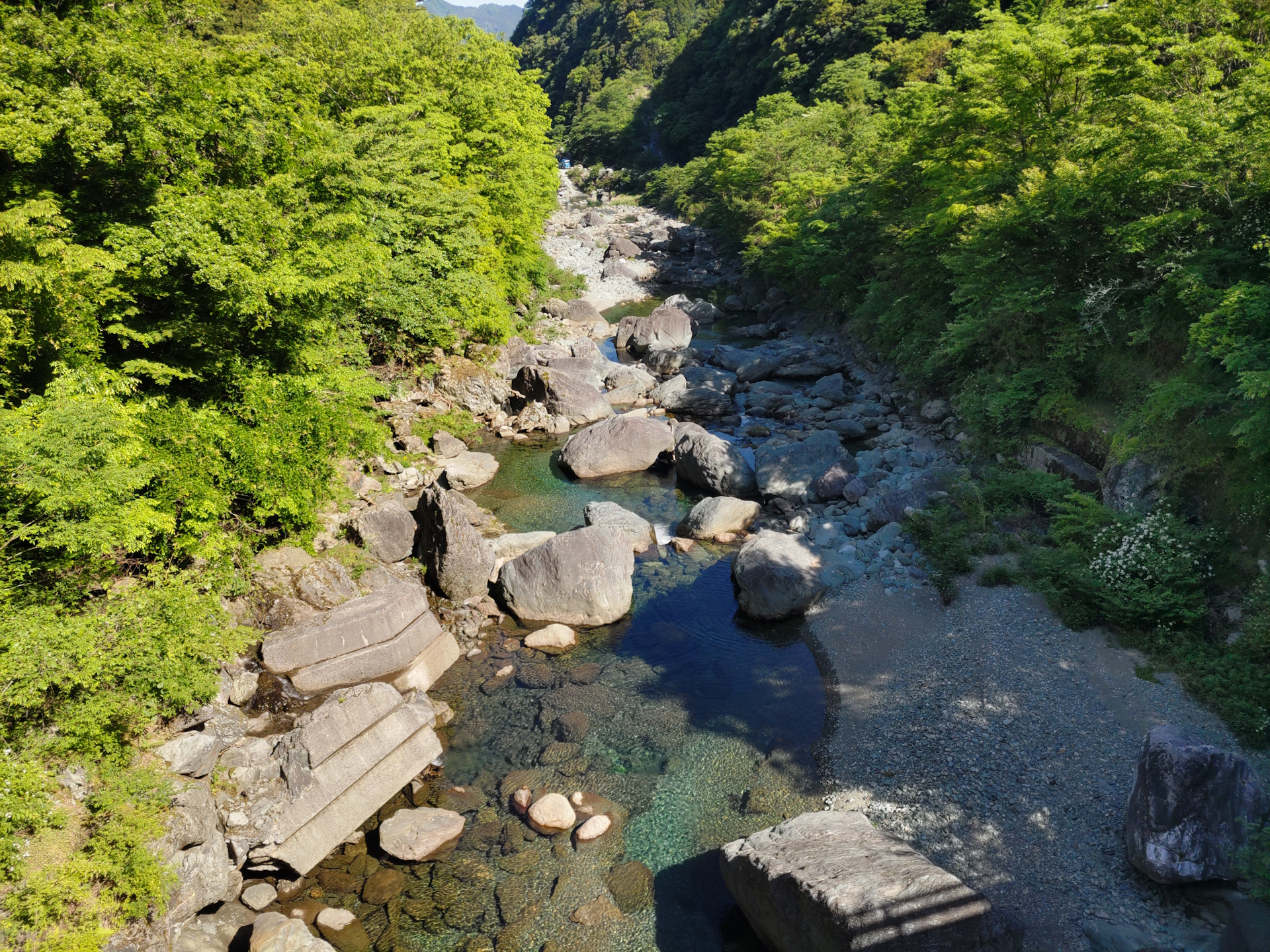 加茂川