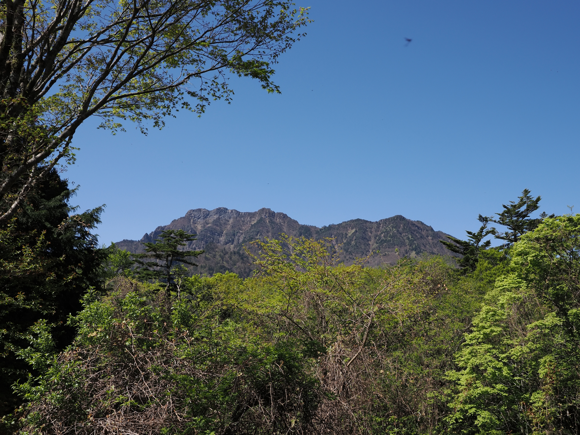 石鎚山